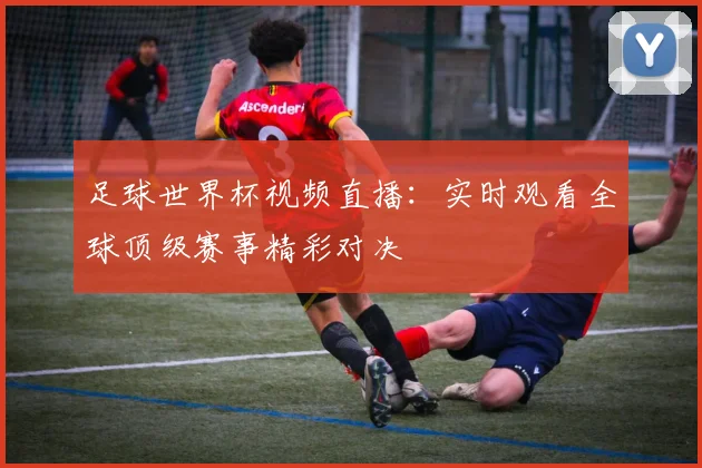 足球世界杯视频直播：实时观看全球顶级赛事精彩对决